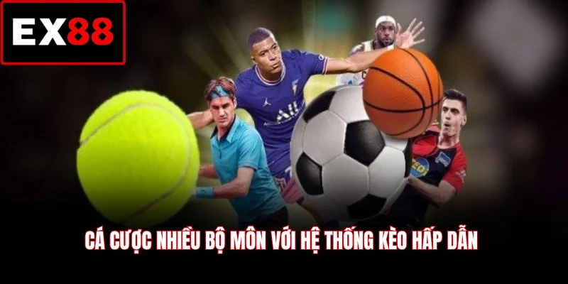 Cá cược nhiều bộ môn với hệ thống kèo hấp dẫn