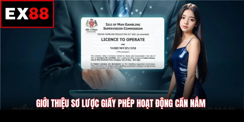 Giới thiệu sơ lược giấy phép hoạt động cần nắm