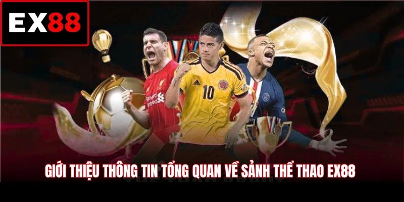 Giới thiệu thông tin tổng quan về sảnh thể thao EX88