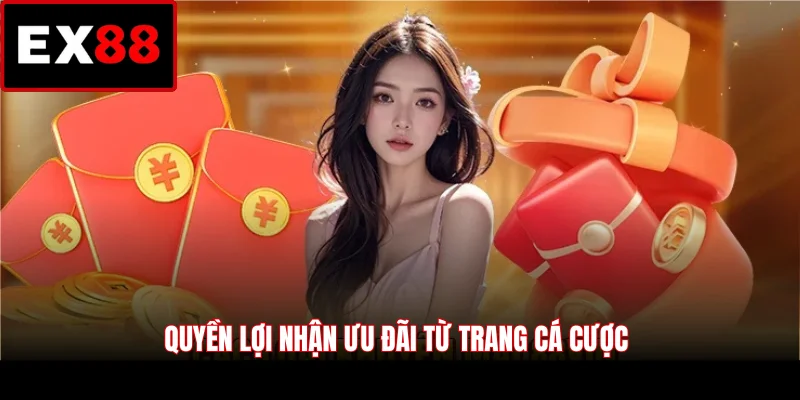 Quyền lợi nhận ưu đãi từ trang cá cược