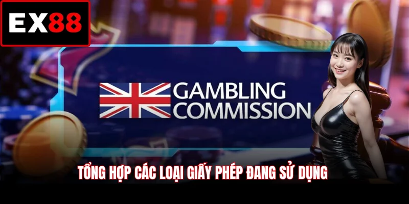 Tổng hợp các loại giấy phép đang sử dụng