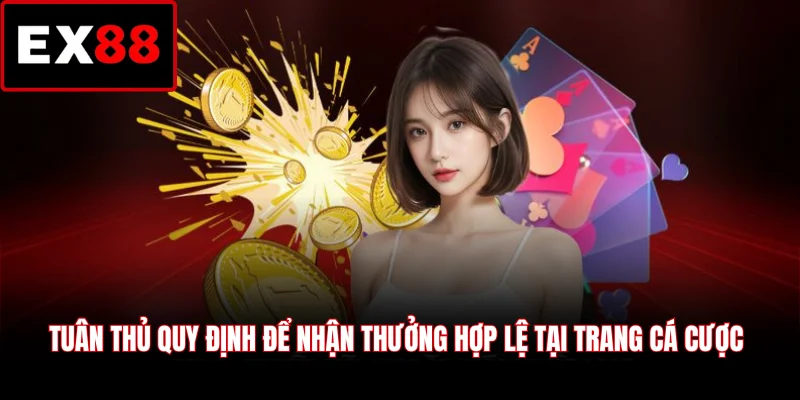 Tuân thủ quy định để nhận thưởng hợp lệ tại trang cá cược
